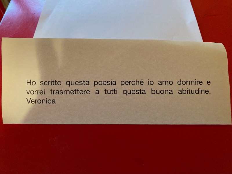 18. “W il sonno” di Veronica Grace Lenzi - Classe 2^ G